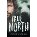 True North