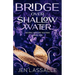 Bridge Over Shallow Water: A Paranormal Women's Fiction Short