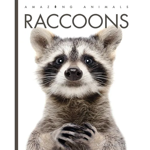 Raccoons
