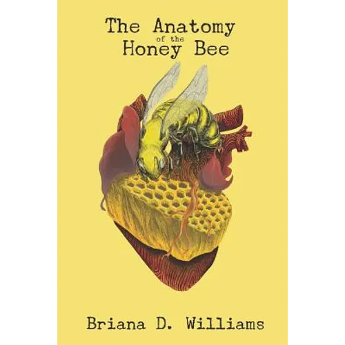 The Anatomy of the Honey Bee