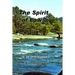 The Spirit of Laws