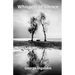 Whispers of Silence