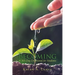 Becoming: A 365-Day Devotional for Students