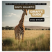 Gigi's Gigantic Giraffe Guide