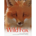 Wild Fox: A True Story
