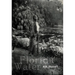 Florida Water: Poems