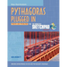 The Geometer's Sketchpad, Pythagoras Plugged Proofs and Problems
