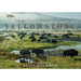 Yellowstone: A Journey Through America's Wild Heart