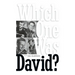 Which One Was David? (hardback)