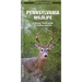 Pennsylvania Wildlife: A Folding Pocket Guide to Familiar Animals