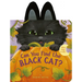 Can You Find the Black Cat?: With Flaps to Lift!