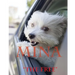 Mina: The Free