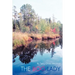 The Bog Lady