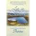 Let it Shine: A novel of hope after loss