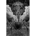 Lil Az H Az Lil: The Grimoire of the Arachnean Goddess