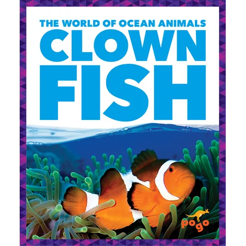 Clown Fish