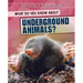 What Do You Know about Underground Animals?