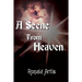 A Scene from Heaven