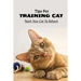 Tips For Training Cat: Teach Your Cat To Behave: Can You Teach A Cat Commands?