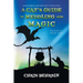 A Cat's Guide to Meddling with Magic