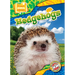 Hedgehogs