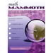 Math Mammoth Grade 8 Answer Keys, International Version