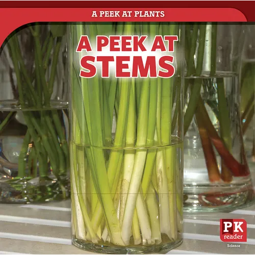 A Peek at Stems