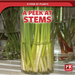 A Peek at Stems