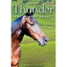 The Continued Adventures of Thunder: The Wonder Horse