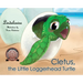 Cletus, the Little Loggerhead Turtle: The Beginning Adventure