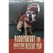 Roddenberry the Adventure Rescue Pup