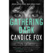 Gathering Dark