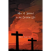 How to Succeed in the Christian Life