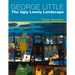 George Little: The Ugly Lovely Landscape