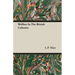 Welfare In The British Colonies