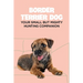 Border Terrier Dog: Your Small but Mighty Hunting Companion: Border Terrier Breed Info, Pictures, Facts and Care Guide