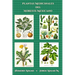 Plantas medicinales del noreste mexicano