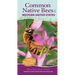 Common Native Bees of the Western United States: Your Way to Easily Identify Bees and Look-Alikes