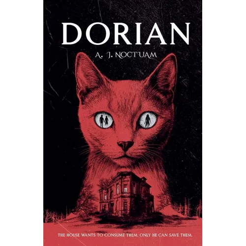Dorian, the stray cat