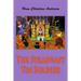 The Steadfast Tin Soldier