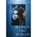 Between Two Worlds: A fantasy novel of time travel and shape shifting