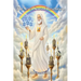 The Seven Stars of Revelation