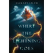 Where the Lightning Goes