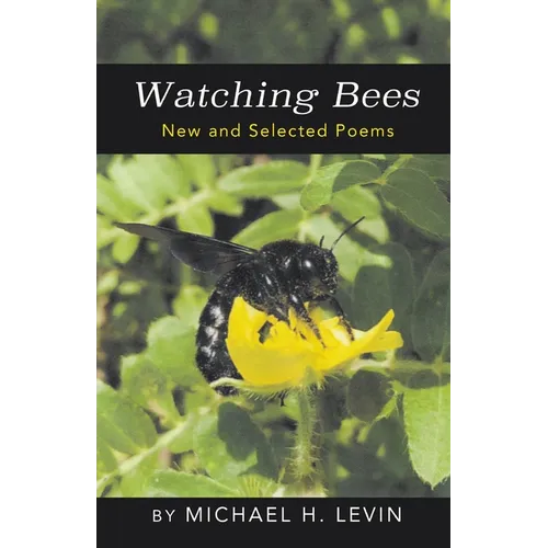 Watching Bees