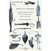 Blacker's Art of Flymaking - Comprising Angling, & Dying of Colours, with Engravings of Salmon & Trout Flies