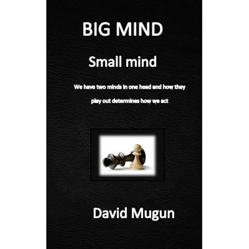 BIG MIND small mind: We have two minds in one head