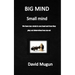 BIG MIND small mind: We have two minds in one head