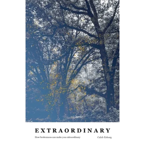 Extraordinary: How brokenness can make you extraordinary