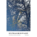 Extraordinary: How brokenness can make you extraordinary