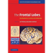 The Frontal Lobes